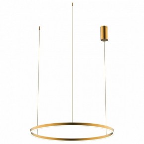 Подвесной светильник Kink Light Тор 08214,33P(3000K) в Елабуге - elabuga.mebel24.online | фото 2