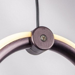 Подвесной светильник Lightstar Caramello 796329 в Елабуге - elabuga.mebel24.online | фото 10