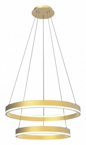 Подвесной светильник Lightstar Rotonda 736422 в Елабуге - elabuga.mebel24.online | фото 2