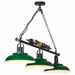 Подвесной светильник Lussole Badger GRLSP-9542 в Елабуге - elabuga.mebel24.online | фото 3
