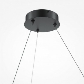 Подвесной светильник Maytoni Curve MOD242PL-L33BK в Елабуге - elabuga.mebel24.online | фото 5