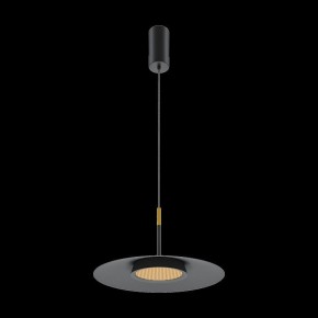 Подвесной светильник Maytoni Halo MOD041PL-L15B3K1 в Елабуге - elabuga.mebel24.online | фото 4