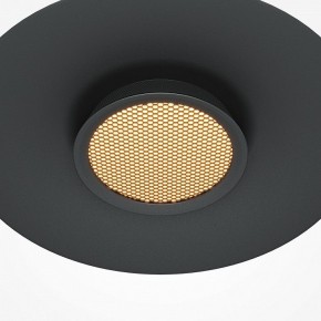 Подвесной светильник Maytoni Halo MOD041PL-L15B3K1 в Елабуге - elabuga.mebel24.online | фото 7