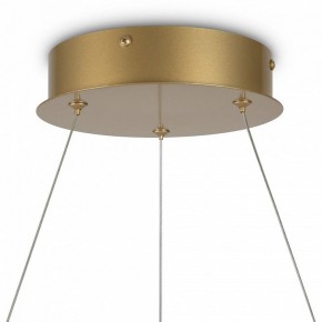 Подвесной светильник Maytoni Halo MOD100PL-L47BSK1 в Елабуге - elabuga.mebel24.online | фото 6