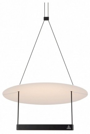 Подвесной светильник Maytoni Halo MOD280PL-L23B3K в Елабуге - elabuga.mebel24.online | фото
