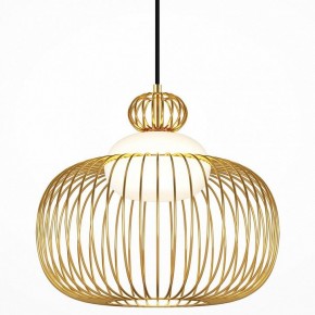 Подвесной светильник Maytoni Levitation MOD376PL-01G в Елабуге - elabuga.mebel24.online | фото