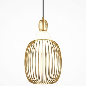 Подвесной светильник Maytoni Levitation MOD376PL-01G1 в Елабуге - elabuga.mebel24.online | фото