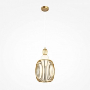 Подвесной светильник Maytoni Levitation MOD376PL-01G1 в Елабуге - elabuga.mebel24.online | фото 2