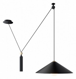 Подвесной светильник Maytoni Peso P080PL-01B в Елабуге - elabuga.mebel24.online | фото 3