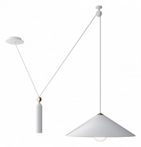 Подвесной светильник Maytoni Peso P080PL-01W в Елабуге - elabuga.mebel24.online | фото 2