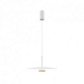 Подвесной светильник Maytoni Platte MOD352PL-L10W3K в Елабуге - elabuga.mebel24.online | фото 4