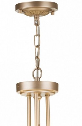 Подвесной светильник Maytoni Roma ARM006PL-06G в Елабуге - elabuga.mebel24.online | фото 5