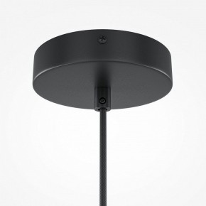 Подвесной светильник Maytoni Roots MOD194PL-01W1 в Елабуге - elabuga.mebel24.online | фото 5