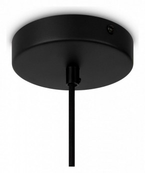 Подвесной светильник Maytoni Roots MOD195PL-01W1 в Елабуге - elabuga.mebel24.online | фото 4