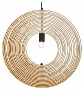 Подвесной светильник Maytoni Roots MOD197PL-01W2 в Елабуге - elabuga.mebel24.online | фото 2