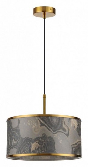 Подвесной светильник Odeon Light Bergi 5064/1 в Елабуге - elabuga.mebel24.online | фото 2