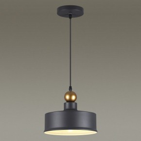 Подвесной светильник Odeon Light Bolli 4088/1 в Елабуге - elabuga.mebel24.online | фото 4
