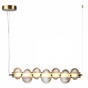 Подвесной светильник Odeon Light Bruco 5095/24L в Елабуге - elabuga.mebel24.online | фото 2