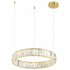 Подвесной светильник Odeon Light Vekia 5015/30L в Елабуге - elabuga.mebel24.online | фото 2