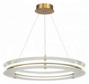 Подвесной светильник ST-Luce FAGY SL6245.203.01 в Елабуге - elabuga.mebel24.online | фото 2