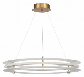 Подвесной светильник ST-Luce FAGY SL6245.203.01 в Елабуге - elabuga.mebel24.online | фото 3