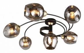Потолочная люстра Aployt Flor APL.611.17.06 в Елабуге - elabuga.mebel24.online | фото 13