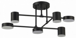 Потолочная люстра EVOLUCE Nobel SLE201042-06 в Елабуге - elabuga.mebel24.online | фото 11