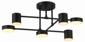 Потолочная люстра EVOLUCE Nobel SLE201042-06 в Елабуге - elabuga.mebel24.online | фото 12