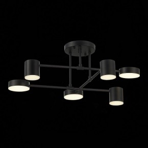 Потолочная люстра EVOLUCE Nobel SLE201042-06 в Елабуге - elabuga.mebel24.online | фото 13