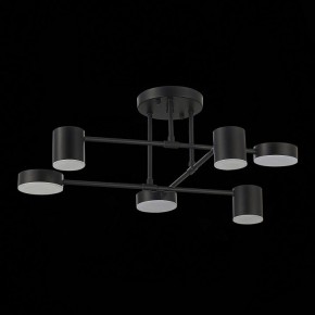 Потолочная люстра EVOLUCE Nobel SLE201042-06 в Елабуге - elabuga.mebel24.online | фото 14