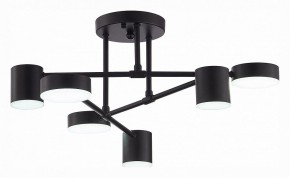 Потолочная люстра EVOLUCE Nobel SLE201042-06 в Елабуге - elabuga.mebel24.online | фото 5