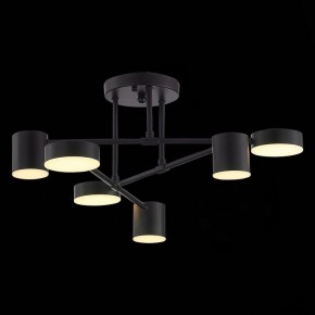 Потолочная люстра EVOLUCE Nobel SLE201042-06 в Елабуге - elabuga.mebel24.online | фото 7