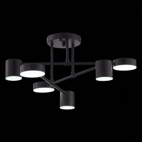 Потолочная люстра EVOLUCE Nobel SLE201042-06 в Елабуге - elabuga.mebel24.online | фото 9