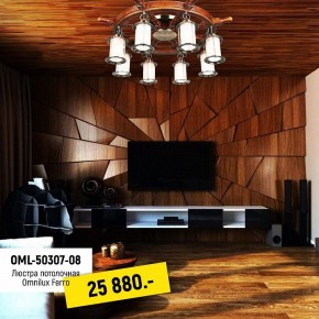 Потолочная люстра Omnilux Ferro OML-50307-08 в Елабуге - elabuga.mebel24.online | фото 2