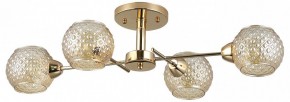 Потолочная люстра Rivoli Amalia Б0050815 в Елабуге - elabuga.mebel24.online | фото