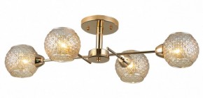 Потолочная люстра Rivoli Amalia Б0050815 в Елабуге - elabuga.mebel24.online | фото 3