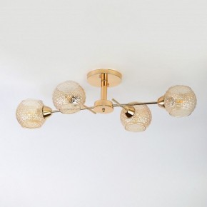 Потолочная люстра Rivoli Amalia Б0050815 в Елабуге - elabuga.mebel24.online | фото 5