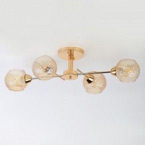 Потолочная люстра Rivoli Amalia Б0050815 в Елабуге - elabuga.mebel24.online | фото 7