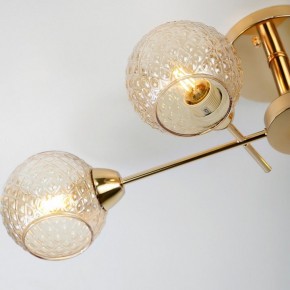 Потолочная люстра Rivoli Amalia Б0050815 в Елабуге - elabuga.mebel24.online | фото 8