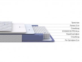 PROxSON Матрас Active Duo S/F (Ткань Трикотаж Эко) 80x195 в Елабуге - elabuga.mebel24.online | фото 2