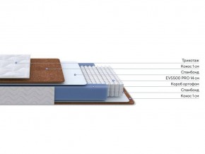 PROxSON Матрас Active F Roll (Ткань Трикотаж Эко) 80x200 в Елабуге - elabuga.mebel24.online | фото 3