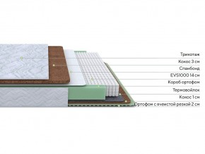 PROxSON Матрас Green Duo M/F (Tricotage Dream) 80x200 в Елабуге - elabuga.mebel24.online | фото 1