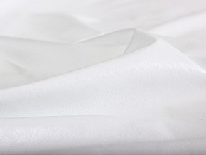 PROxSON Защитный чехол Aqua Save M (Ткань влагостойкая Terry Cloth) 180x190 в Елабуге - elabuga.mebel24.online | фото 6