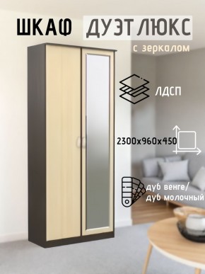 Шкаф 2-х створчатый Дуэт Люкс с зеркалом в Елабуге - elabuga.mebel24.online | фото