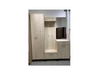 Шкаф для одежды 2-х дверный София 1 в Елабуге - elabuga.mebel24.online | фото 6