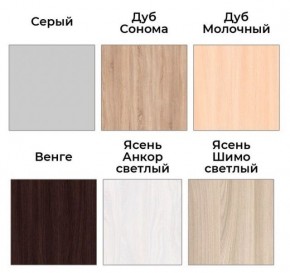 Шкаф-купе ХИТ 22-4-17-55 (420) в Елабуге - elabuga.mebel24.online | фото 3