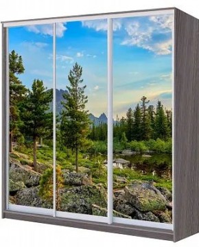 Шкаф-купе ХИТ 22-4-18/2-777 ПРИРОДА в Елабуге - elabuga.mebel24.online | фото