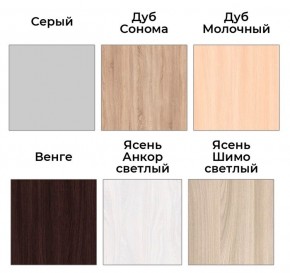 Шкаф-купе ХИТ 22-4-18-656 (420) в Елабуге - elabuga.mebel24.online | фото 3