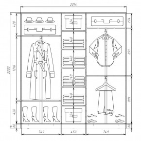 Шкаф-купе ХИТ 22-4-20-111 (420) в Елабуге - elabuga.mebel24.online | фото 2
