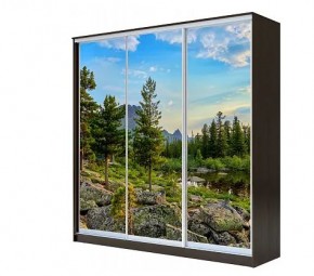 Шкаф-купе ХИТ 22-4-20-777 (420) в Елабуге - elabuga.mebel24.online | фото